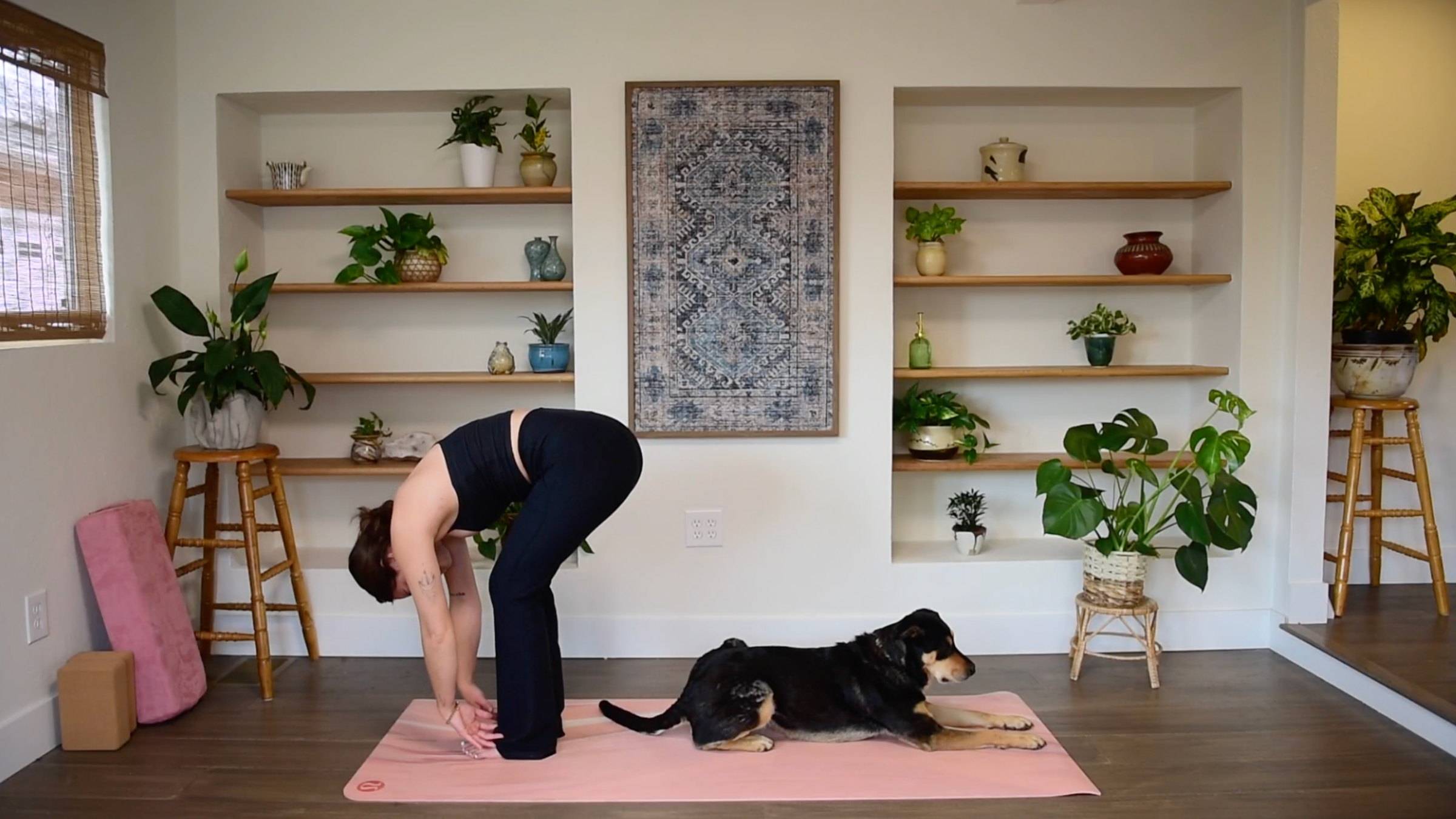 Caitlin K'eli hinging at the hips and folding forward over bent knees, lowering hands toward the mat in Standing Forward Bend.
